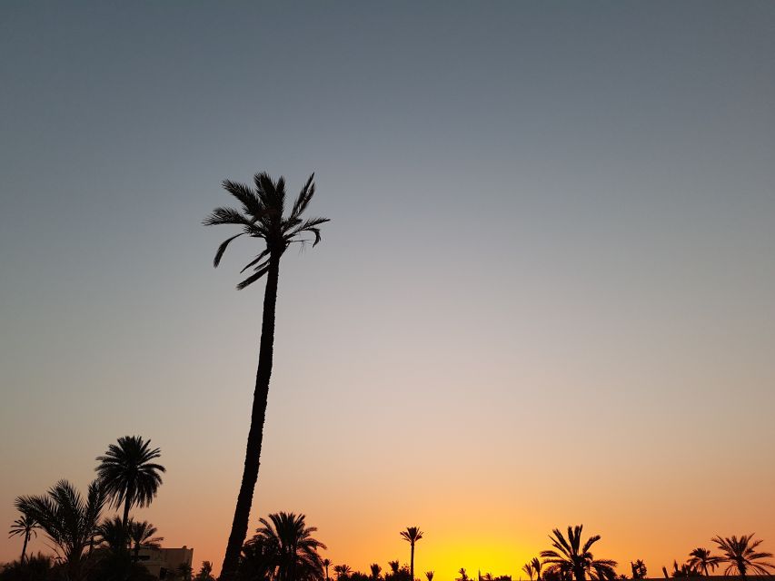 Sunset Camel Ride in the Marrakech Palmeraie - Customer Reviews