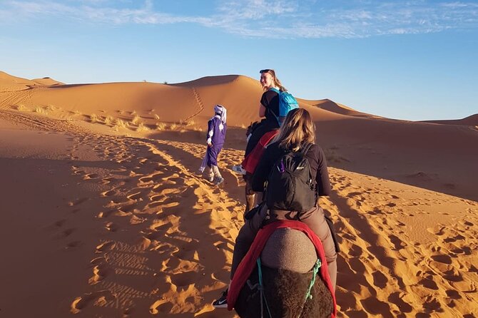 Sunset in Merzouga Sahara Desert & Camel Ride Erg Chebbi Dunes - Reviews and Pricing