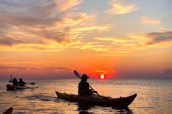 Sunset Kayaking Ibiza, Spain - Wildlife Spotting Opportunities