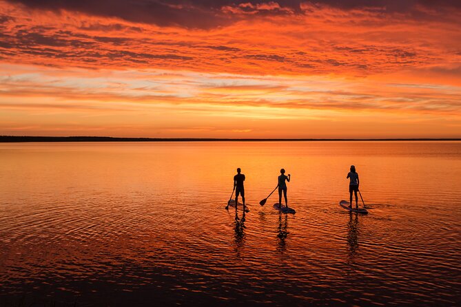 Surfing Under Midnight Sun (Sup) - Last Words