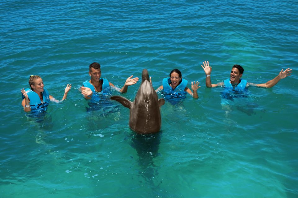 Swim With Dolphins Ride - Playa Mujeres - Inclusive Services