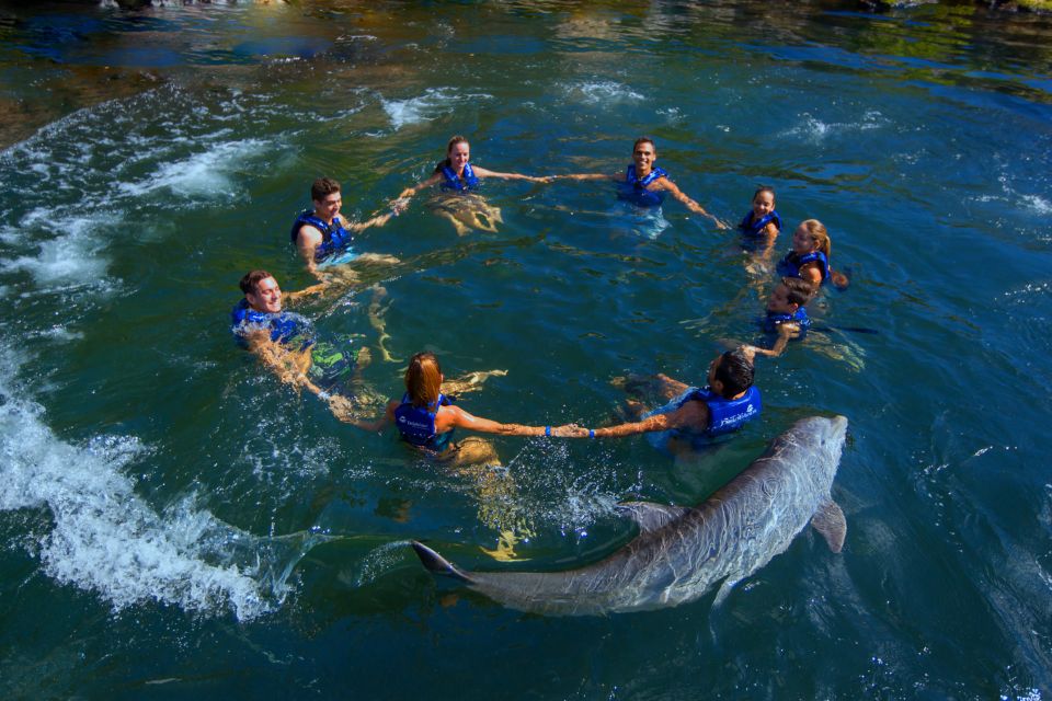 Swim With Dolphins Ride - Riviera Maya - Booking Details