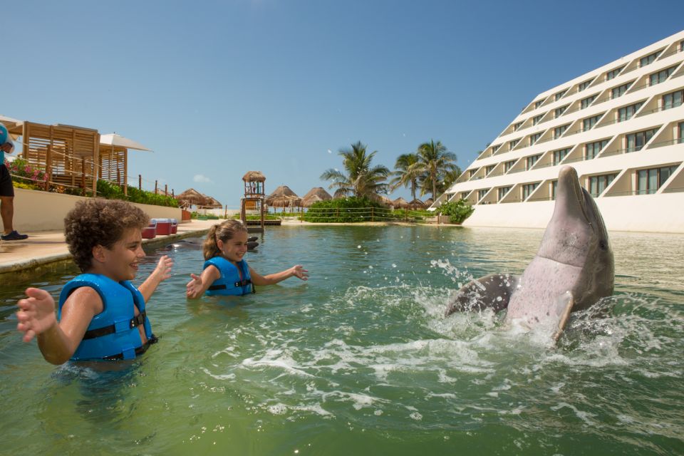 Swim With Dolphins Splash - Punta Cancun - Location and Restrictions