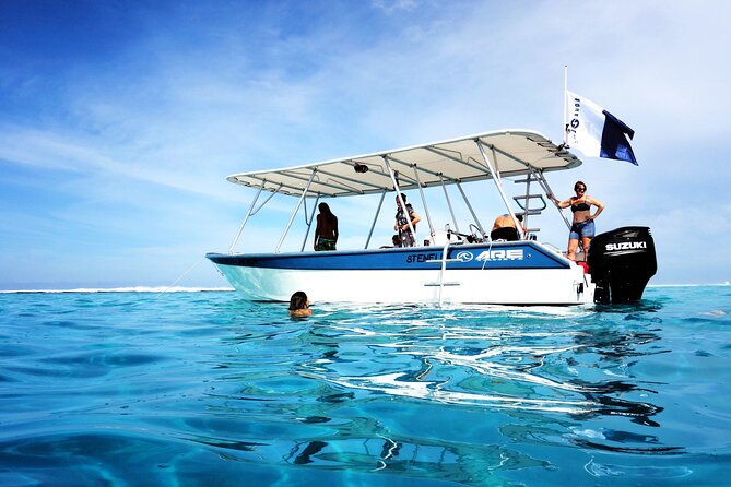 Swim With Whales, on the Preserved and Quiet Coast of Paea and Papara (27km From Ppt) - Gear and Equipment Needed