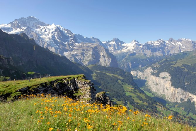 Swiss Alps: Interlaken and Grindelwald Day Trip From Zurich - Common questions