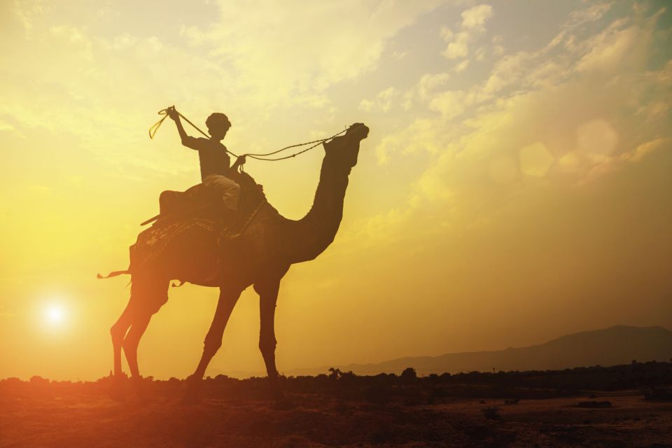 Taghazout: Sunset Camel Ride - Booking Information