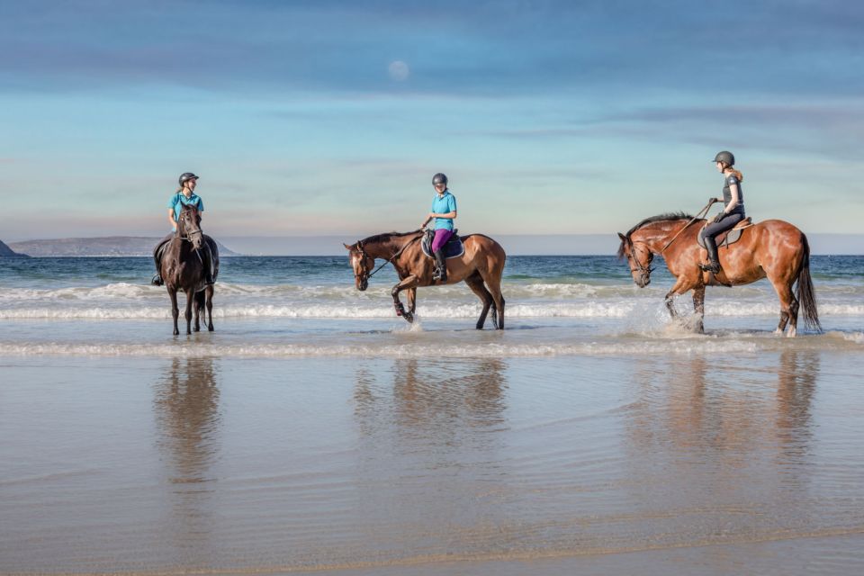 Taghazout: Sunset Horse Riding Experience on the Beach - Location and Booking Details