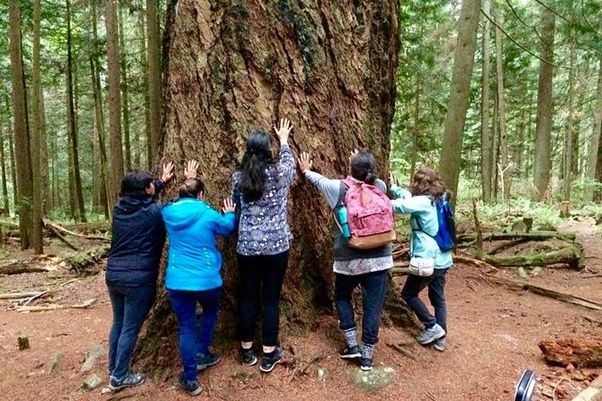 Talking Trees: Stanley Park Indigenous Walking Tour Led by a First Nations Guide - Logistics and Tour Guides