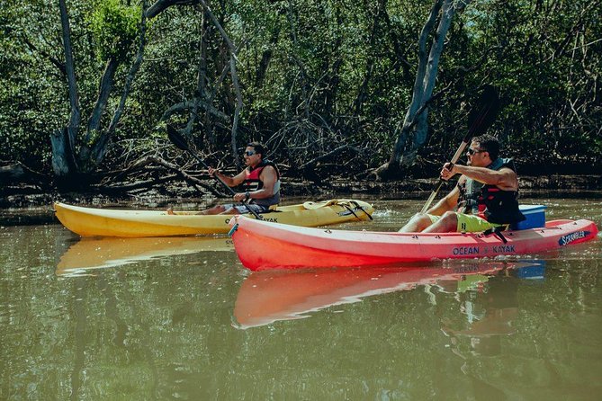 Tamarindo Kayak Estuary Mangrove Tour - Cancellation Policy