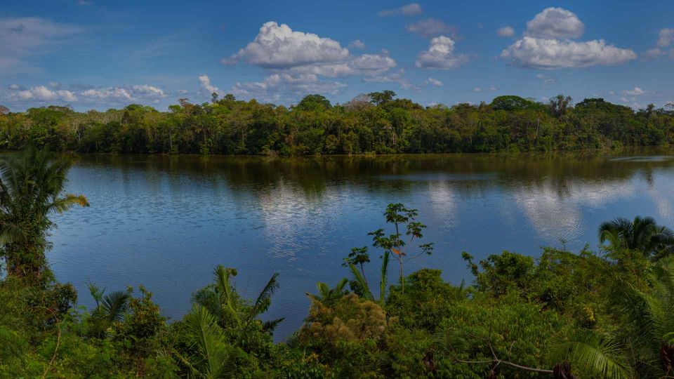 Tambopata: Lake Sandoval Canoeing With Lunch - Activity Details