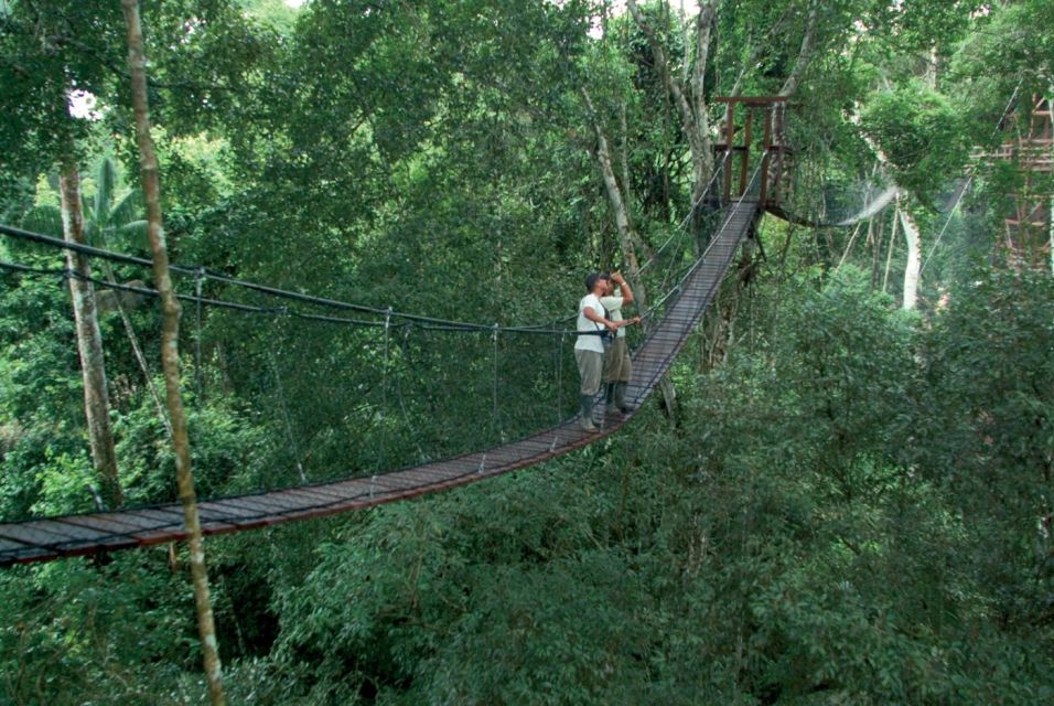 Tambopata: Tour of Monkey Island and Lake Sandoval 3-Days - Day 1: Monkey Island Exploration