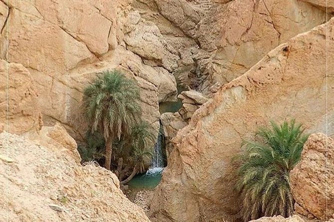 Tamerza Canyon Oasis Tour - Cancellation Policy Details