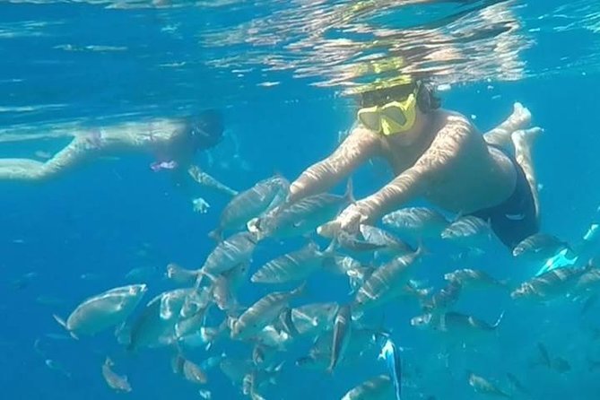 Taormina Snorkeling Experience - Additional Content