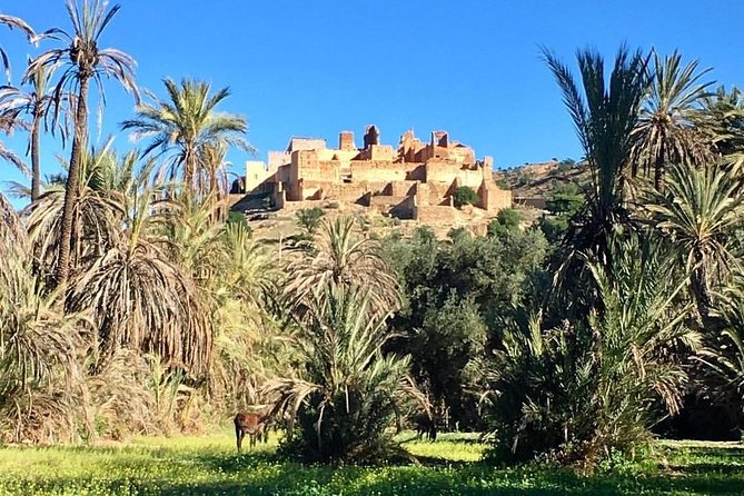 Taroudant Tiout With Meal 1 Day - Traveler Photos and Experiences