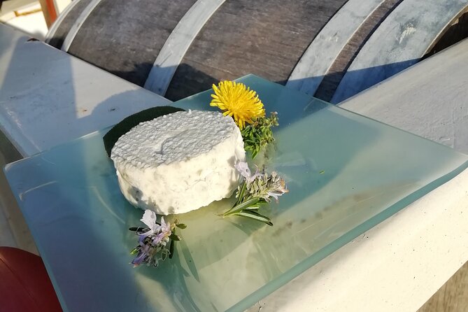 Tasting of Seaweed Cheeses - Contact and Support for Inquiries