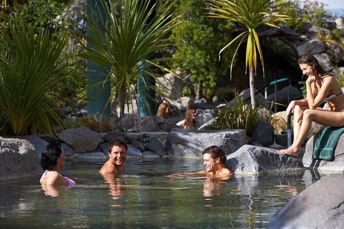 Tauranga - Rotorua: Spa Pools & Te Puia Geysers. Shore Excursion - Booking Details and Reviews