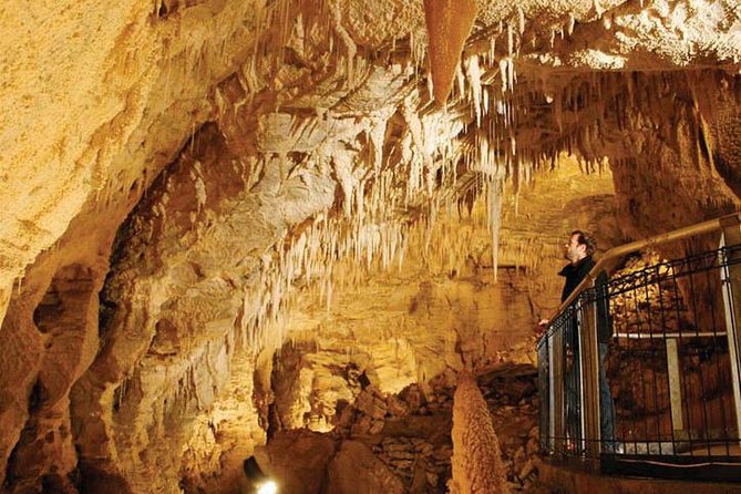 Tauranga - Waitomo : Ancient "Glow-Worm Caves" Private Day Tour - Customer Reviews