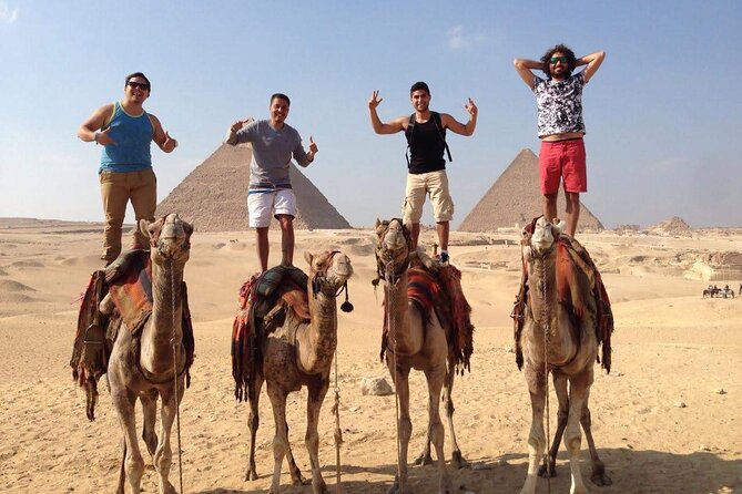 Taxi From the Airport to the Pyramids of Giza - Support and Assistance