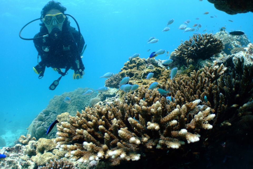 Tayrona National Park: Scuba Diving Tour for Beginners - Flexibility and Convenience