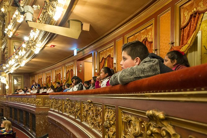 Teatro Colon Skip-The-Line Plus Palaces of Buenos Aires Tour - Skip-The-Line Access Benefits