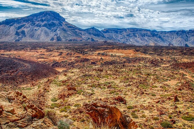 Teide National Park Full Experience With Professional Guide - Common questions