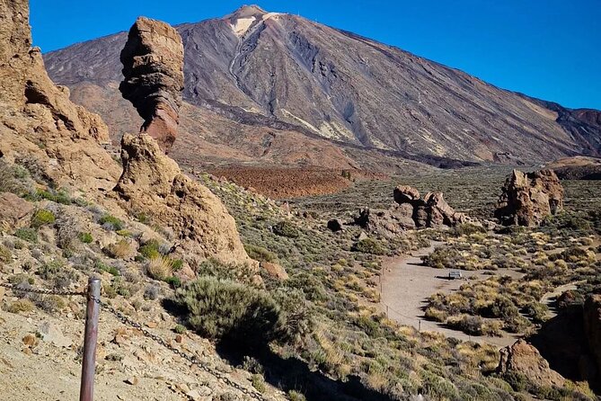 TEIDE NATIONAL PARK Tour in a Small Group by Bus - Inclusions