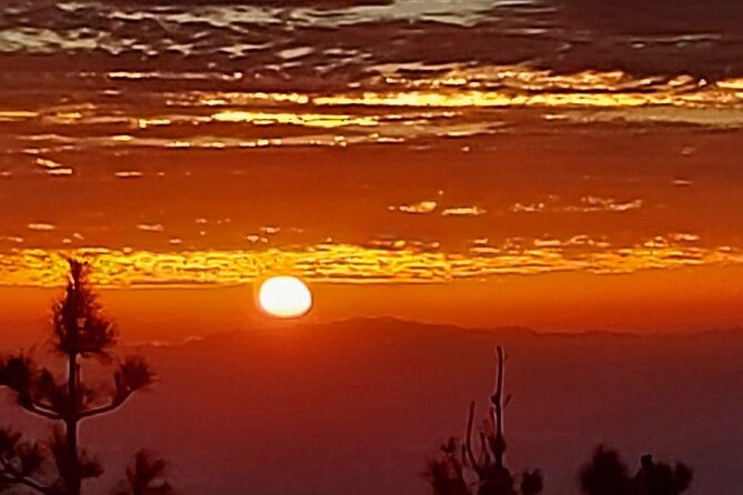 TEIDE NIGHT, Stargazing Bus Tour, Meal & Drinks Included! - Logistics