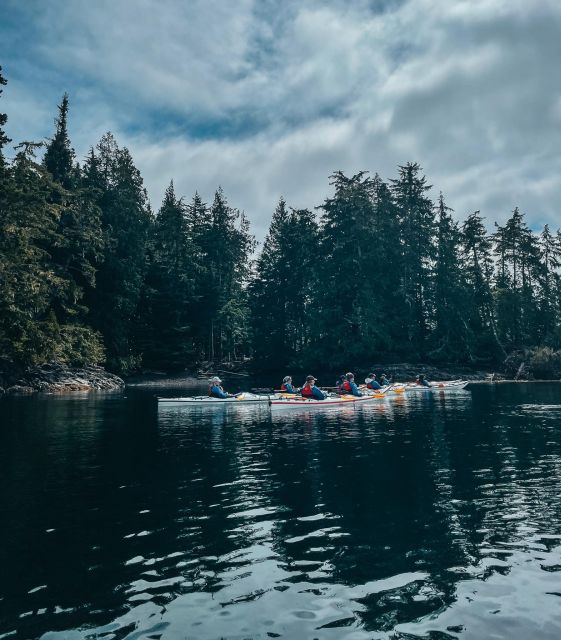 Telegraph Cove: Half-Day Kayaking Tour - Full Description