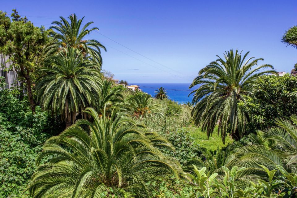 Tenerife: Anaga Rural Park Private Tour - Anaga Rural Park Exploration