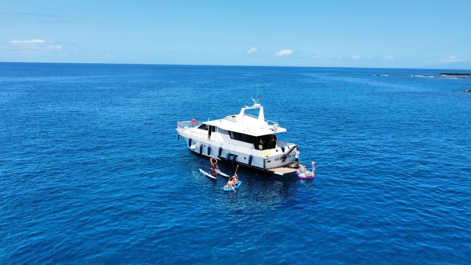 Tenerife: Yacht Cruise With Waterslide and Water Activities - Private Group Option Benefits