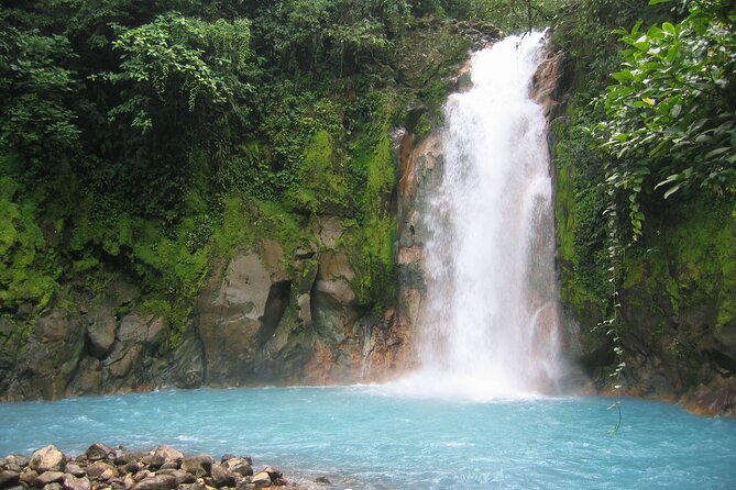 Tenorio Volcano National Park: Rio Celeste Waterfall Hike  - La Fortuna - Key Information for Participants