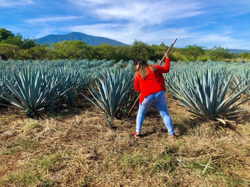 Tequila Full Experience - Behind the Scenes Tour