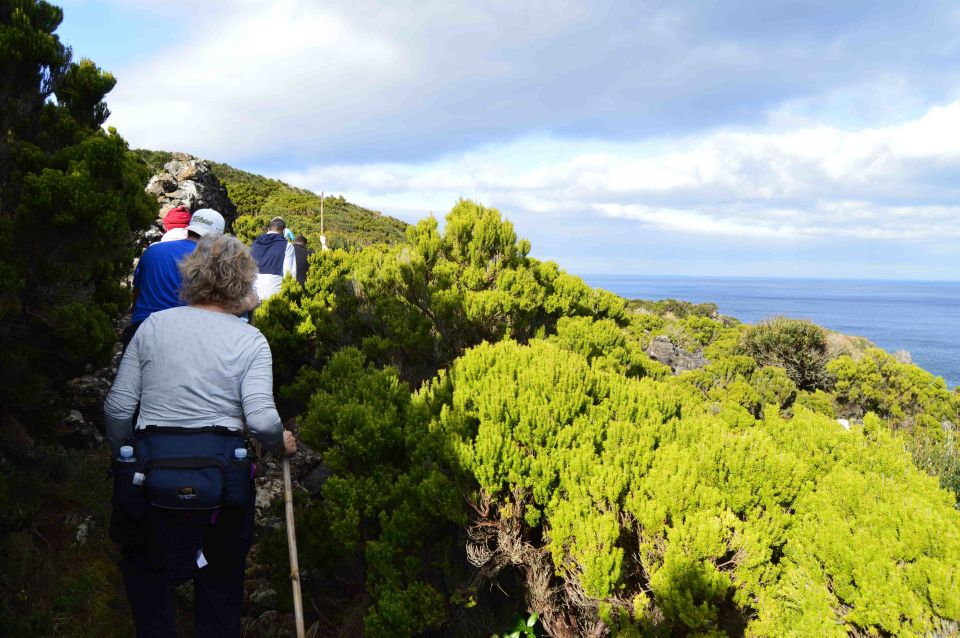 Terceira: Azores Half Day Hike - Booking Information
