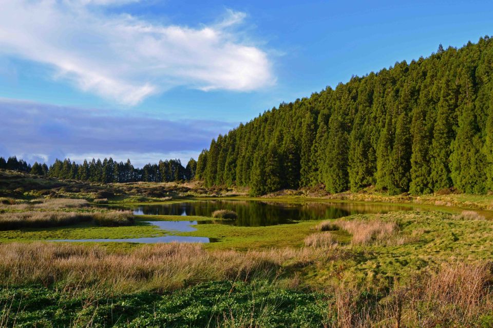 Terceira Island: Mistérios Negros Hike - Transportation and Pickup