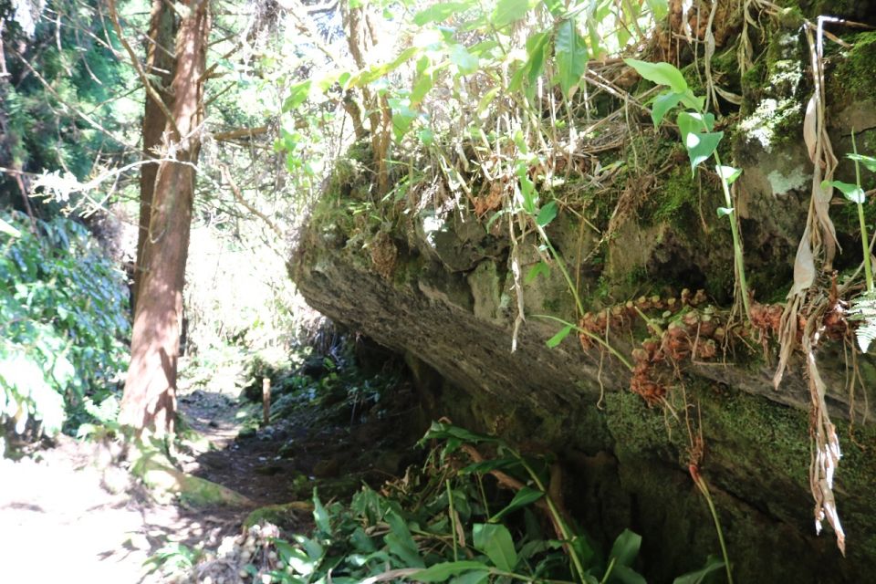 Terceira Island: Walking Trails Hiking Tour - Location & Activity Details