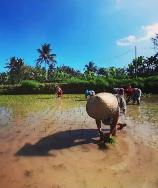 Tetebatu Panorama Walking Tour - Highlights of the Tour Activities