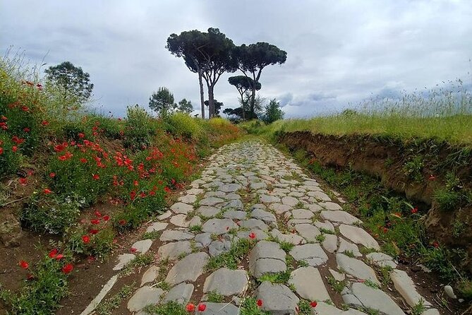 The Ancient Aqueducts of Rome - Visitor Experiences and Recommendations