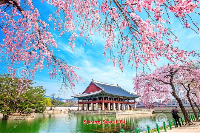 The Beauty of the Korea Cherry Blossom Discover 11days 10nights - Transportation and Logistics