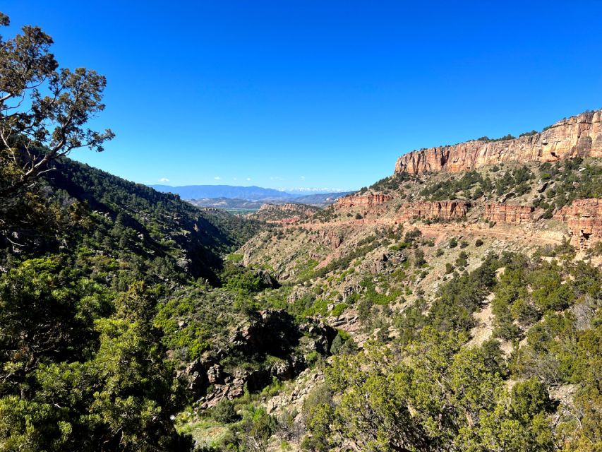 The BEST Colorado Springs Tours and Things to Do - Foothills Jeep Tour and More
