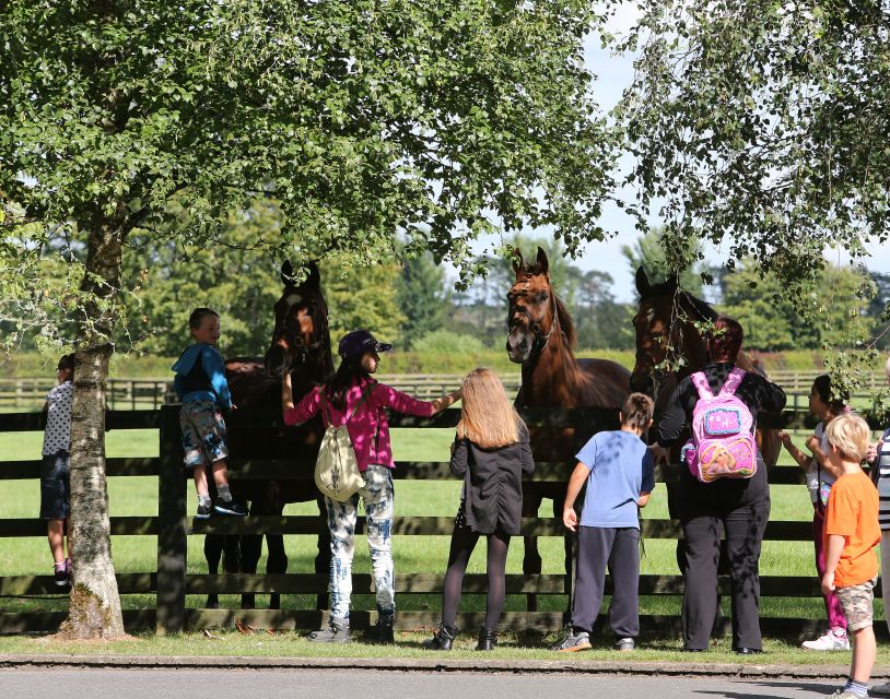 The BEST Irish National Stud & Gardens Entry Tickets - Visitor Experience and Highlights