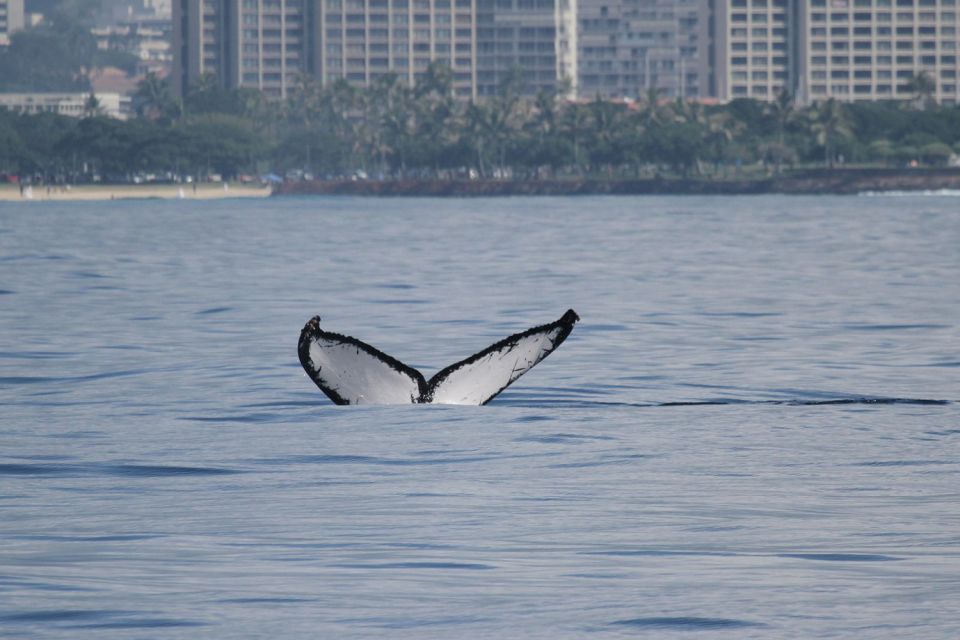 The BEST Oahu Cruises & Boat Tours - Sunset Cruise Experiences