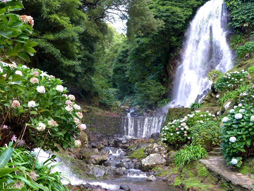 The BEST São Miguel Island Bus & Minivan Tours - Small Group Experiences