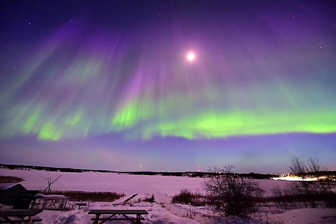 The Greatest Valuable Aurora Manor & Hunting Tour --Exclusive Tour Operator - Customer Reviews