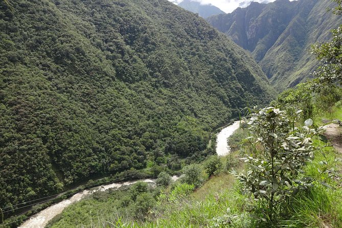The Inca Trail: 4-Day Trek to Machu Picchu - Feedback and Reviews