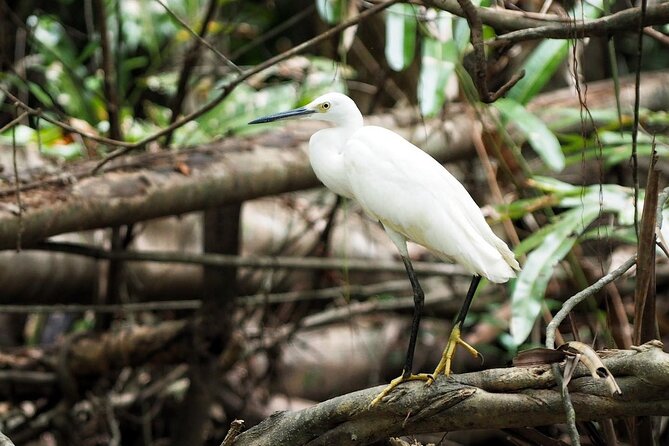 The Little Amazon and Sri Phang Nga Waterfall Full Day Tour From Khao Lak - Reviews and Ratings