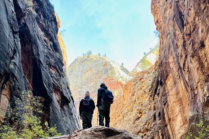The Narrows: Zion National Park Private Guided Hike - Customer Experiences