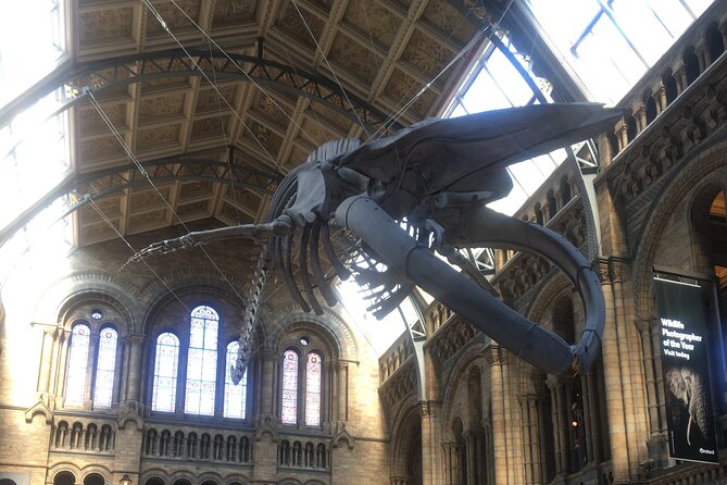 The Natural History Museum Guided Tour in London - Tour Highlights