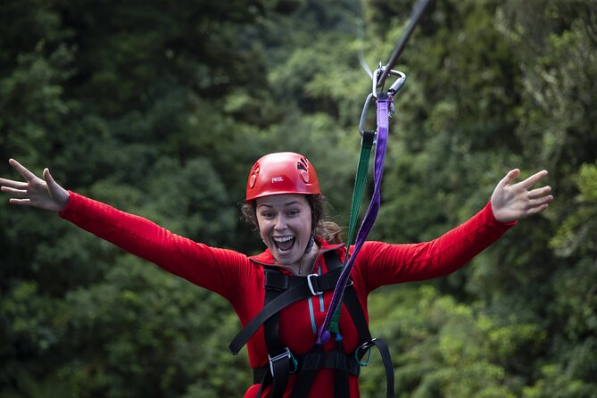 The Original Canopy Zipline Experience Private Tour From Auckland - Additional Information
