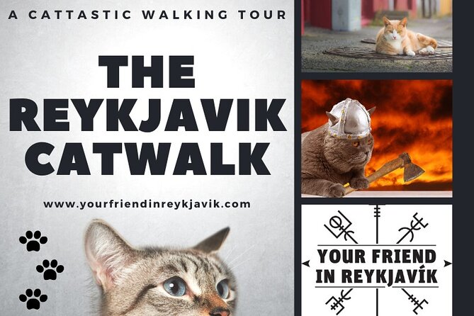 The Reykjavik Cat Walking Tour - Cat-Themed Experiences