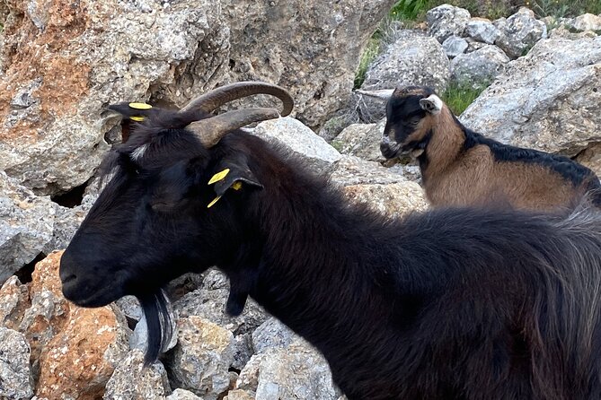 The Shepherds Path Eleven Gates Full-Day Hike From Rethymno - Importance of Eleven Gates Route